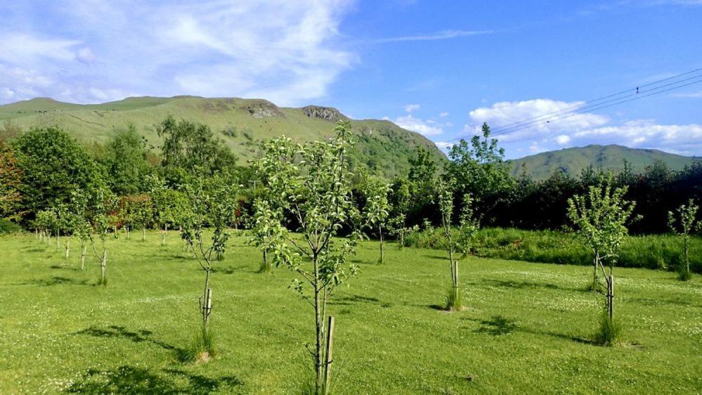 Foxglove Cottage Maybole Екстер'єр фото